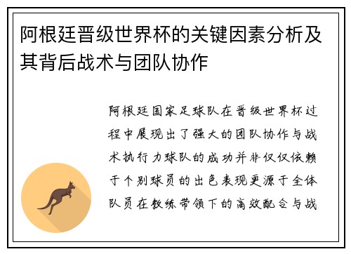 阿根廷晋级世界杯的关键因素分析及其背后战术与团队协作